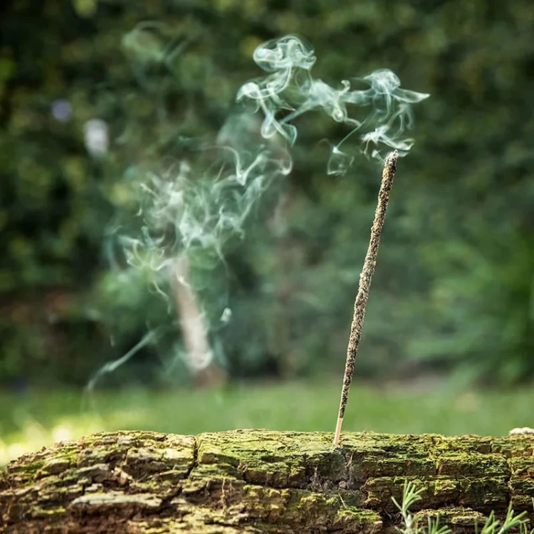 Sagrada Madre Naturalne Kadzidło z rutą, rozmarynem i olibanum – 8 patyczków o ziemistym aromacie, oczyszczających i chroniących przestrzeń, idealnych do medytacji i rytuałów harmonii.