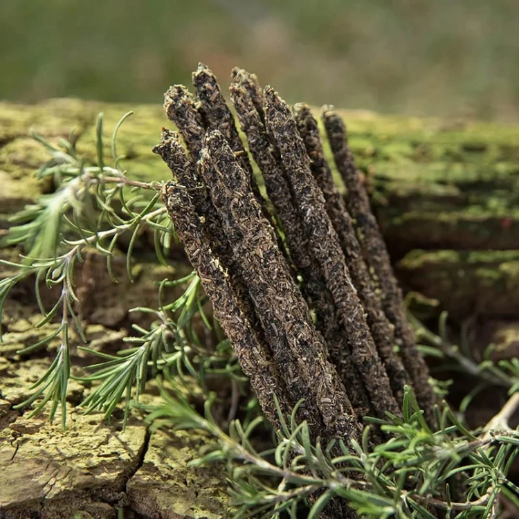 Sagrada Madre Naturalne Kadzidło z rutą, rozmarynem i olibanum – 8 patyczków o ziemistym aromacie, oczyszczających i chroniących przestrzeń, idealnych do medytacji i rytuałów harmonii.
