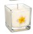 Świeca z wosku rzepakowego Nag Champa o orientalnym, kadzidlanym aromacie. Ekologiczna, wolna od GMO, pali się ok. 25 godzin. Idealna do medytacji, oczyszczania energii i tworzenia harmonijnej, duchowej atmosfery w domu lub miejscu pracy.