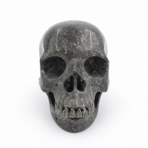 kamienna czaszka fossil coral 1277 g naturalna rzeźba czaszki kamień ochronny i stabilizujący