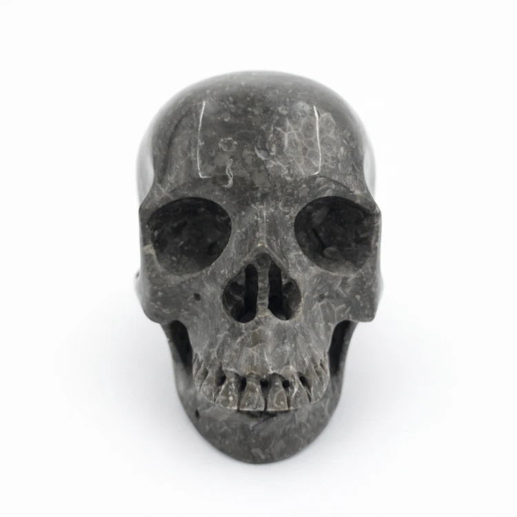 kamienna czaszka fossil coral 1277 g naturalna rzeźba czaszki kamień ochronny i stabilizujący