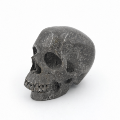 kamienna czaszka fossil coral 1277 g naturalna rzeźba czaszki kamień ochronny i stabilizujący z profilu