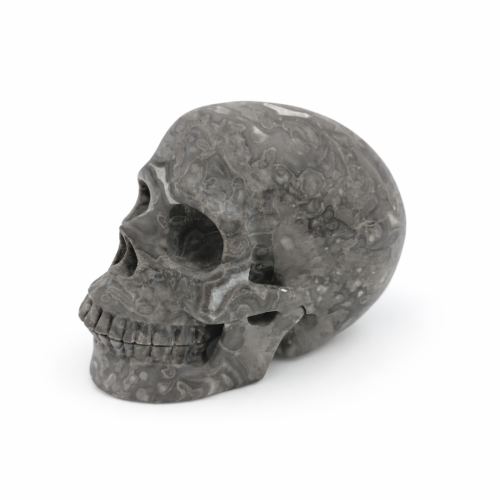 kamienna czaszka fossil coral jaspis 1480 g naturalna rzeźba czaszki kamień harmonii i stabilizacji z profilu