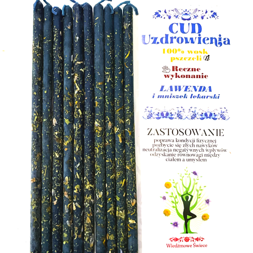 Grafika_bez_nazwy 17.png