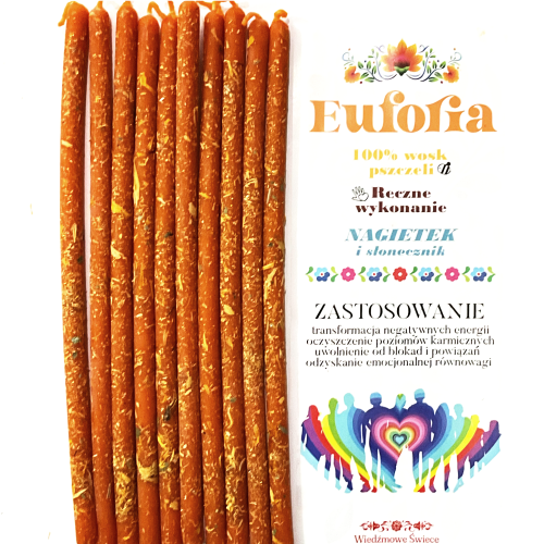 Grafika_bez_nazwy 24.png
